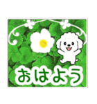 飛び出すトイプードル！大人やさしい野の花（個別スタンプ：2）