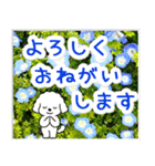 飛び出すトイプードル！大人やさしい野の花（個別スタンプ：5）