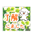 飛び出すトイプードル！大人やさしい野の花（個別スタンプ：6）
