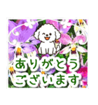飛び出すトイプードル！大人やさしい野の花（個別スタンプ：10）