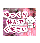 飛び出すトイプードル！大人やさしい野の花（個別スタンプ：16）