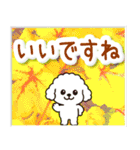 飛び出すトイプードル！大人やさしい野の花（個別スタンプ：17）