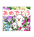 飛び出すトイプードル！大人やさしい野の花（個別スタンプ：18）