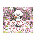 飛び出すトイプードル！大人やさしい野の花（個別スタンプ：19）