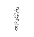 お祝いの文字や言葉だけのセット・白（個別スタンプ：14）