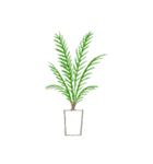 観葉植物と犬猫セット（個別スタンプ：1）