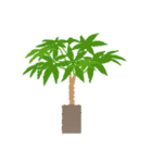 観葉植物と犬猫セット（個別スタンプ：3）