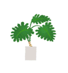 観葉植物と犬猫セット（個別スタンプ：5）