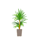 観葉植物と犬猫セット（個別スタンプ：7）