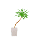観葉植物と犬猫セット（個別スタンプ：9）