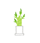 観葉植物と犬猫セット（個別スタンプ：12）