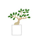 観葉植物と犬猫セット（個別スタンプ：13）