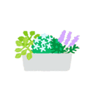 観葉植物と犬猫セット（個別スタンプ：20）