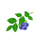 観葉植物と犬猫セット（個別スタンプ：22）