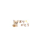 癒しチワワの極省スペースで丁寧敬語（個別スタンプ：14）