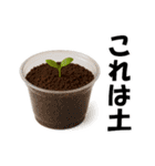 どうしてもティラミスが食べたあああい！！！（個別スタンプ：21）