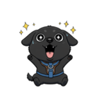 可愛くて元気な黒い子犬（個別スタンプ：5）