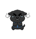 可愛くて元気な黒い子犬（個別スタンプ：6）
