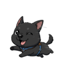 可愛くて元気な黒い子犬（個別スタンプ：13）