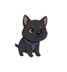 可愛くて元気な黒い子犬（個別スタンプ：17）