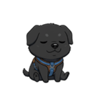 可愛くて元気な黒い子犬（個別スタンプ：19）