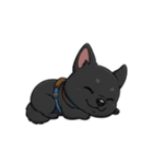 可愛くて元気な黒い子犬（個別スタンプ：23）