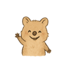 クオッカQokiのまいにち（個別スタンプ：1）