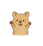 クオッカQokiのまいにち（個別スタンプ：3）