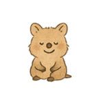 クオッカQokiのまいにち（個別スタンプ：5）