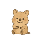 クオッカQokiのまいにち（個別スタンプ：6）