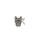 超ちいさいフレブル（個別スタンプ：16）