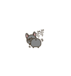 超ちいさいフレブル（個別スタンプ：19）