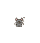 超ちいさいフレブル（個別スタンプ：20）