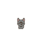 超ちいさいフレブル（個別スタンプ：24）