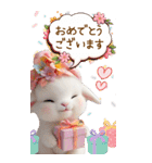 可愛い子ヤギ 毎日使える吹き出し 敬語 BIG（個別スタンプ：13）