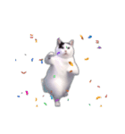 動く！踊る猫ミーム(パート28)（個別スタンプ：4）