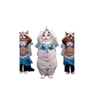 動く！踊る猫ミーム(パート28)（個別スタンプ：24）
