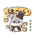 【犬の日】愛犬♡シュナウザー★ご挨拶（個別スタンプ：3）
