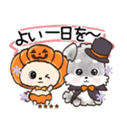 【犬の日】愛犬♡シュナウザー★ご挨拶（個別スタンプ：31）