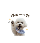 ぐりこくん☆スタンダード（個別スタンプ：1）