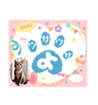 にゃあのあいさつ状Part7（個別スタンプ：3）