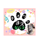 にゃあのあいさつ状Part7（個別スタンプ：8）