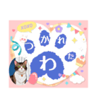 にゃあのあいさつ状Part7（個別スタンプ：20）