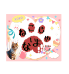にゃあのあいさつ状Part7（個別スタンプ：26）