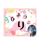 にゃあのあいさつ状Part7（個別スタンプ：29）