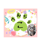 にゃあのあいさつ状Part7（個別スタンプ：32）