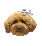 アロハマロ（個別スタンプ：6）