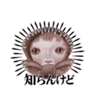 こうぶんこうぞう作品（わからない）（個別スタンプ：32）