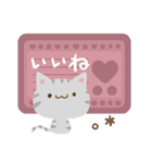 ナチュラルアメショ4（個別スタンプ：20）