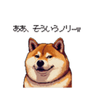 冷笑系の太っちょ柴犬（個別スタンプ：1）